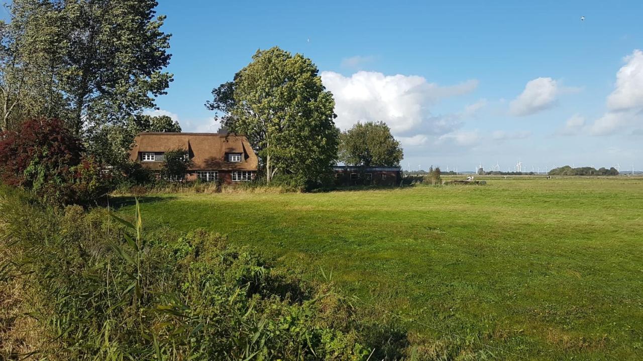 Ferienwohnung Diekblick - Kleiner Deichhof Hattstedtermarsch エクステリア 写真