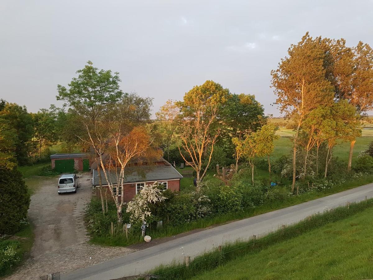 Ferienwohnung Diekblick - Kleiner Deichhof Hattstedtermarsch エクステリア 写真